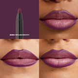 understatement lip liner 220
