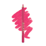 color statement lipliner 05