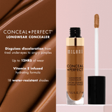 conceal perfect concealer infographic