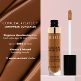 conceal perfect concealer infographic 